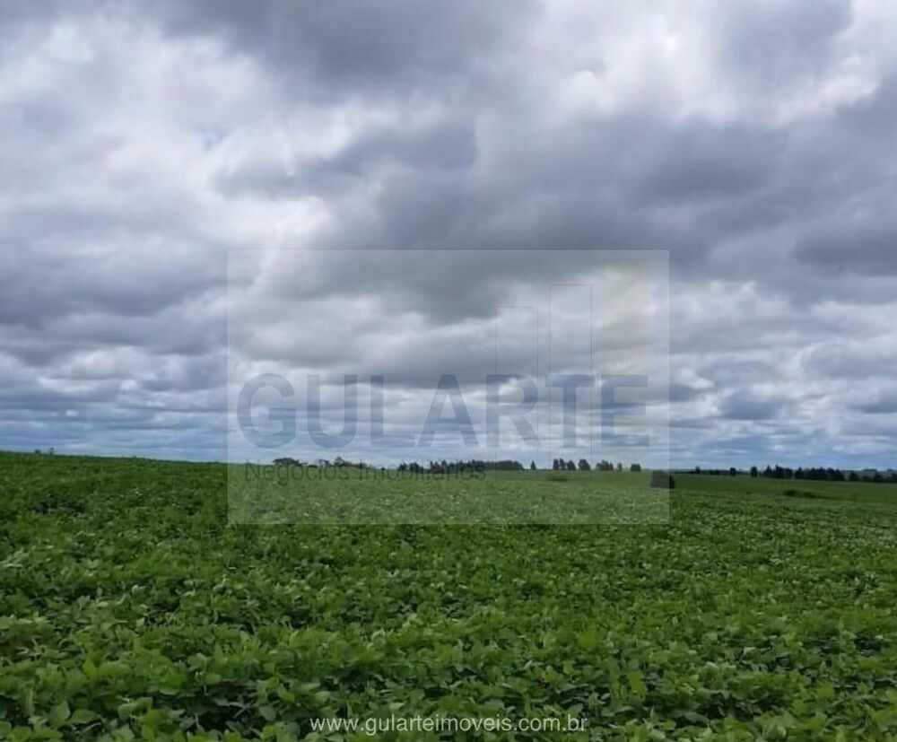 Fazenda, 600 hectares - Foto 1