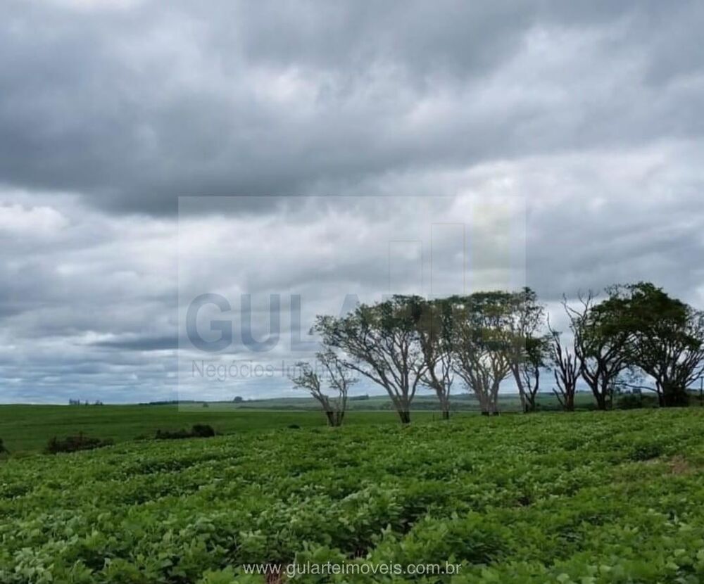 Fazenda, 600 hectares - Foto 4