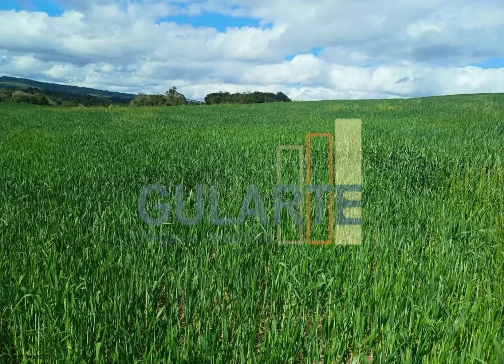Fazenda, 196 hectares - Foto 1
