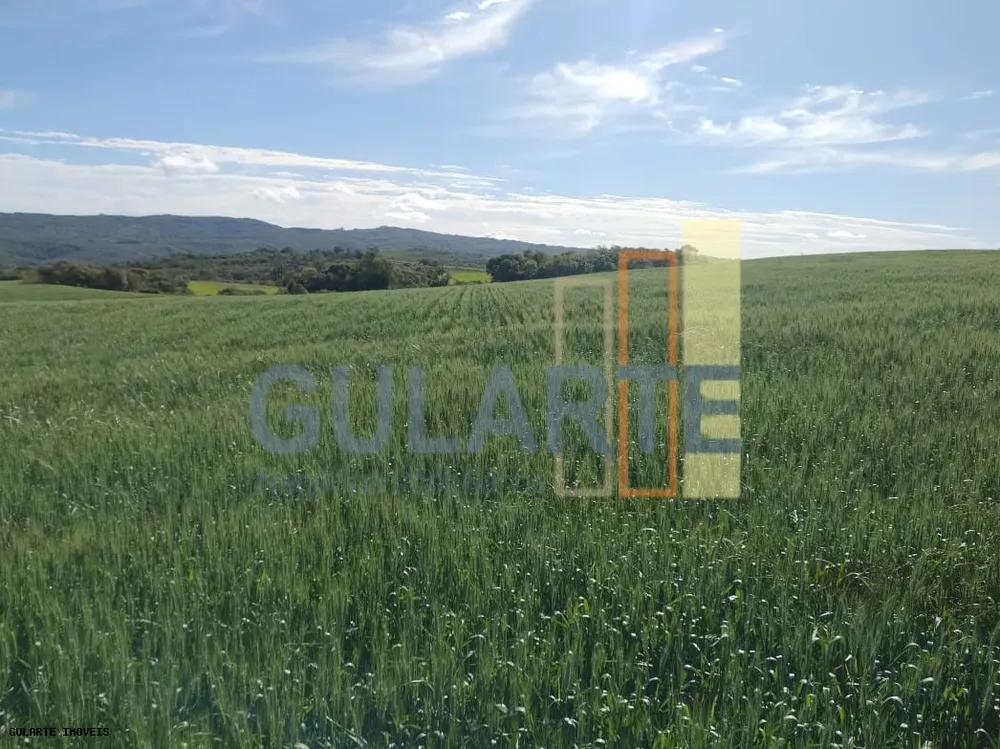 Fazenda, 196 hectares - Foto 6