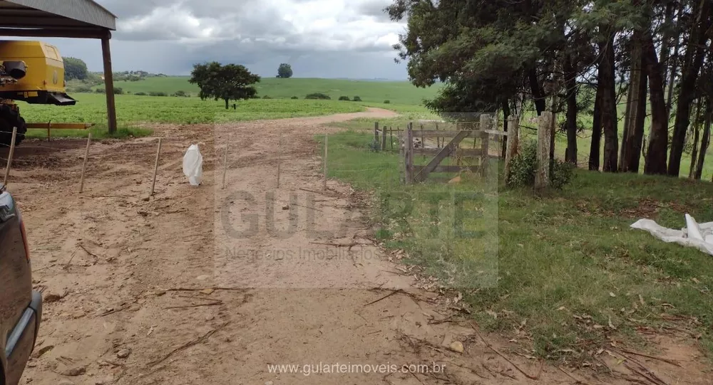 Fazenda, 875 hectares - Foto 1