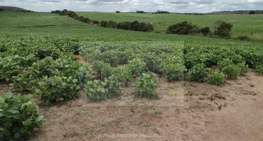Fazenda, 875 hectares - Foto 4