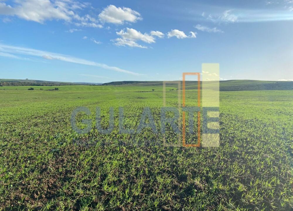 Fazenda-Sítio-Chácara, 440 hectares - Foto 15