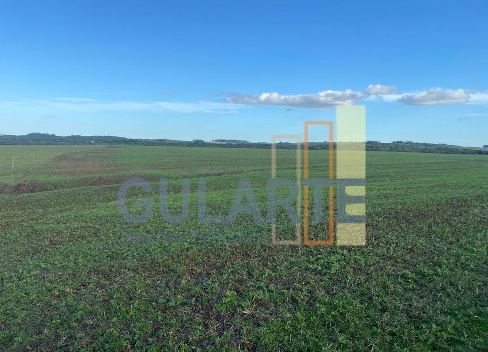 Fazenda-Sítio-Chácara, 440 hectares - Foto 17