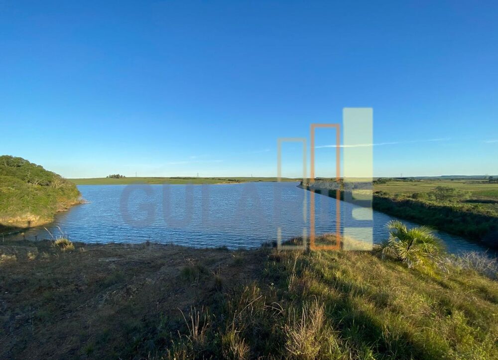 Fazenda-Sítio-Chácara, 440 hectares - Foto 16