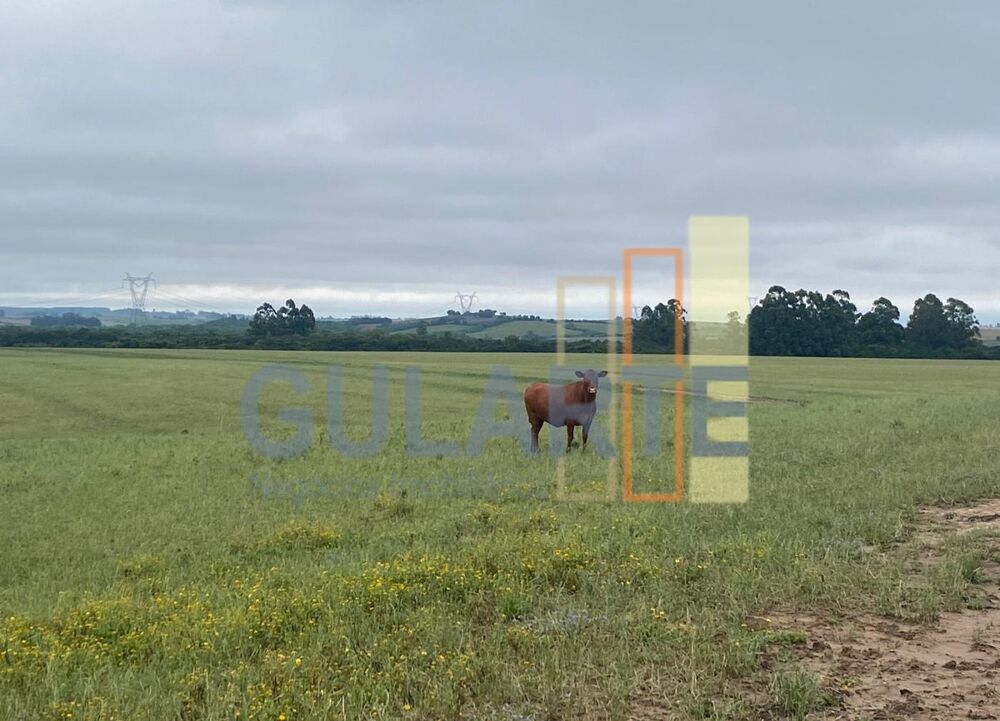 Fazenda-Sítio-Chácara, 440 hectares - Foto 8