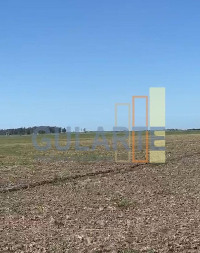 Fazenda-Sítio-Chácara, 600 hectares - Foto 5