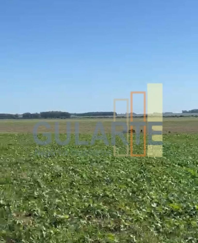 Fazenda-Sítio-Chácara, 600 hectares - Foto 8