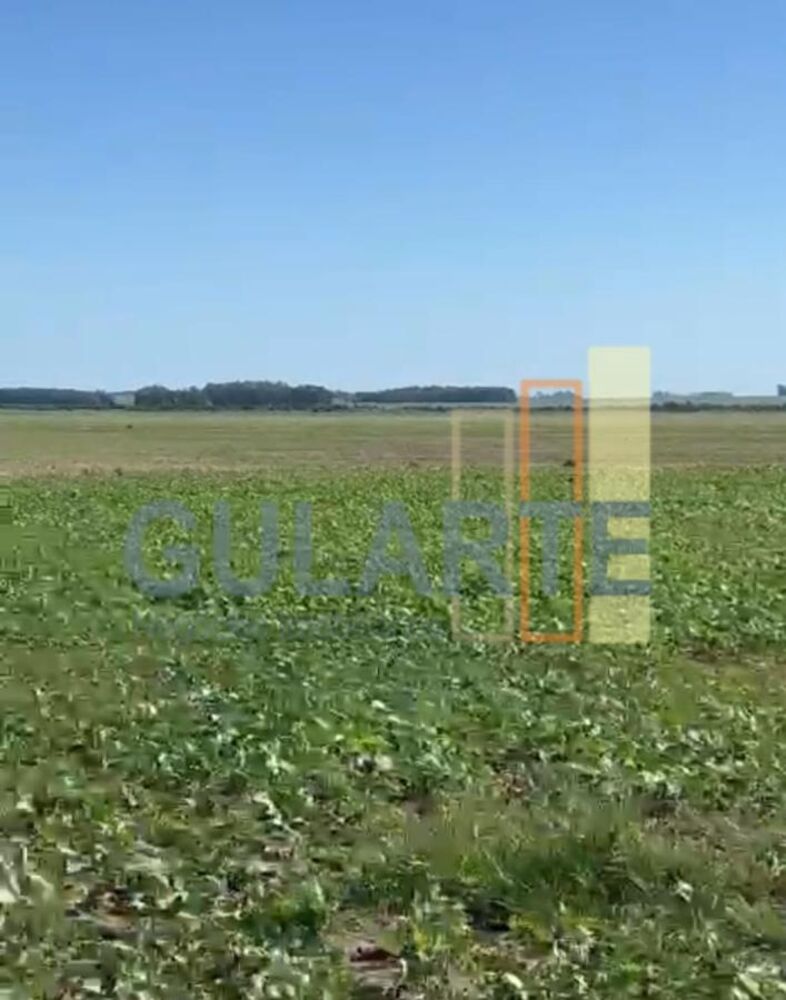 Fazenda-Sítio-Chácara, 600 hectares - Foto 7