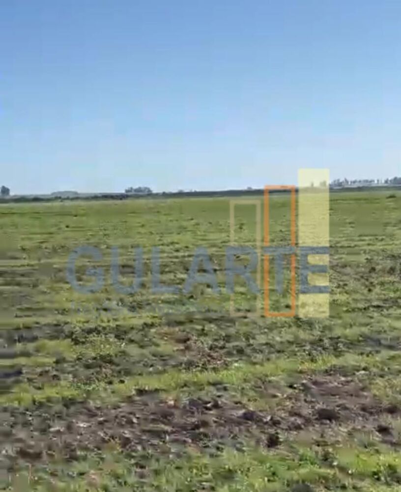 Fazenda-Sítio-Chácara, 600 hectares - Foto 1