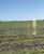 Fazenda-Sítio-Chácara, 600 hectares - Foto 1