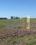 Fazenda-Sítio-Chácara, 600 hectares - Foto 4