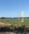 Fazenda-Sítio-Chácara, 600 hectares - Foto 3