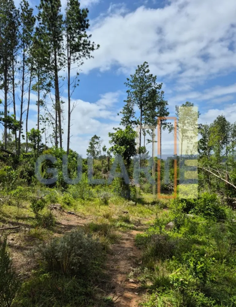 Terreno, 20 hectares - Foto 4