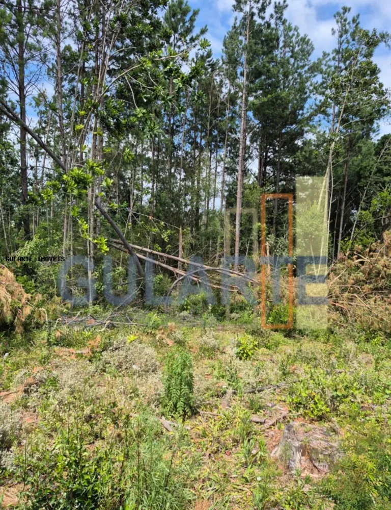 Terreno, 20 hectares - Foto 1