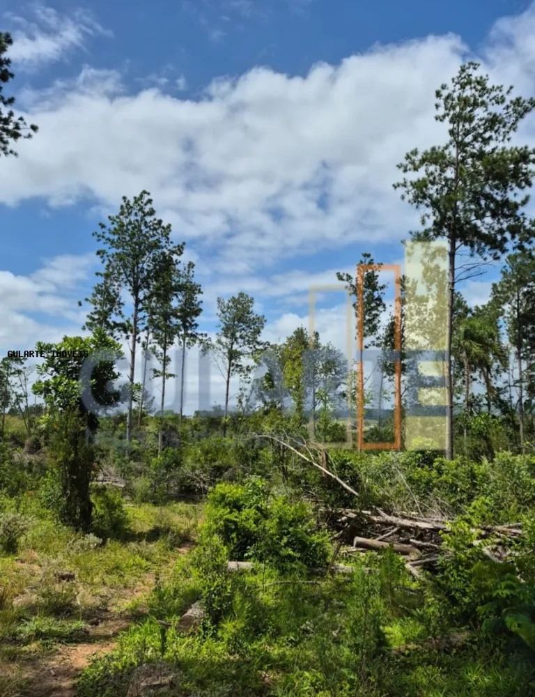 Terreno, 20 hectares - Foto 7
