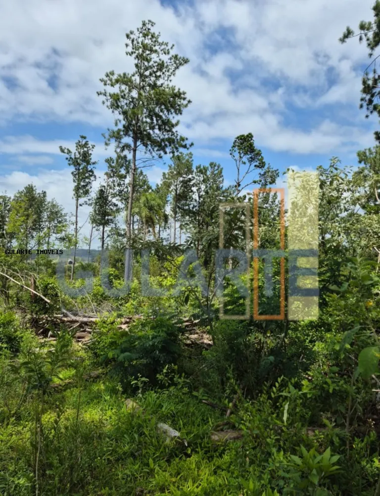 Terreno, 20 hectares - Foto 6