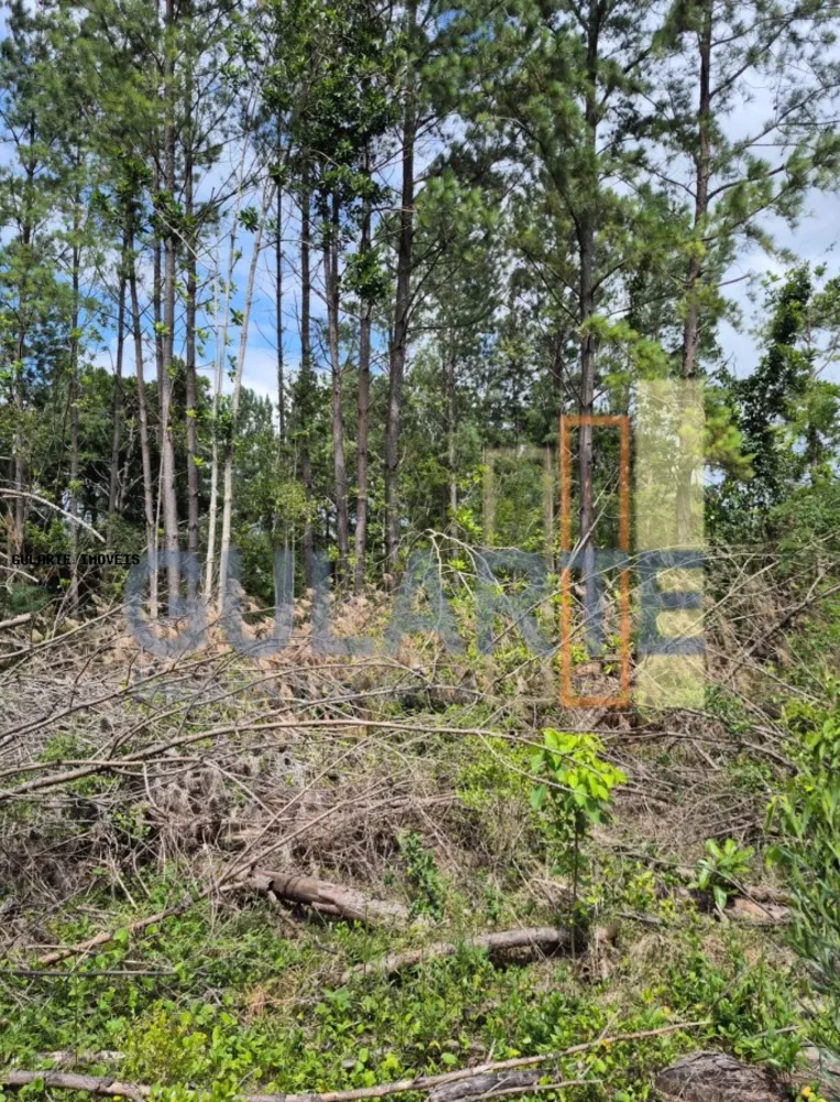 Terreno, 20 hectares - Foto 3