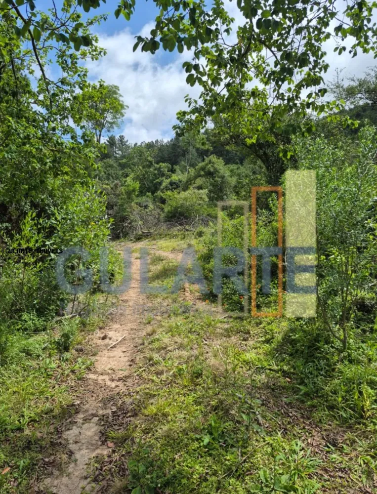 Terreno, 20 hectares - Foto 2