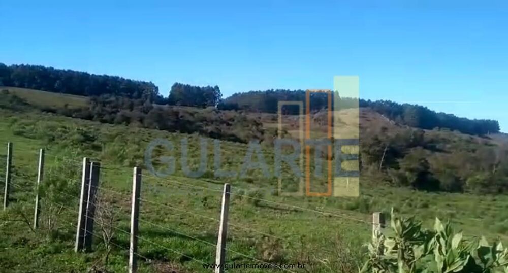 Fazenda-Sítio-Chácara, 360 hectares - Foto 3