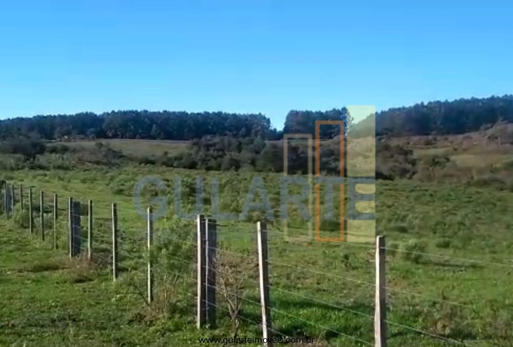 Fazenda-Sítio-Chácara, 360 hectares - Foto 5