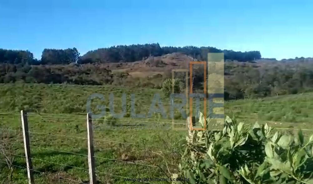 Fazenda-Sítio-Chácara, 360 hectares - Foto 6