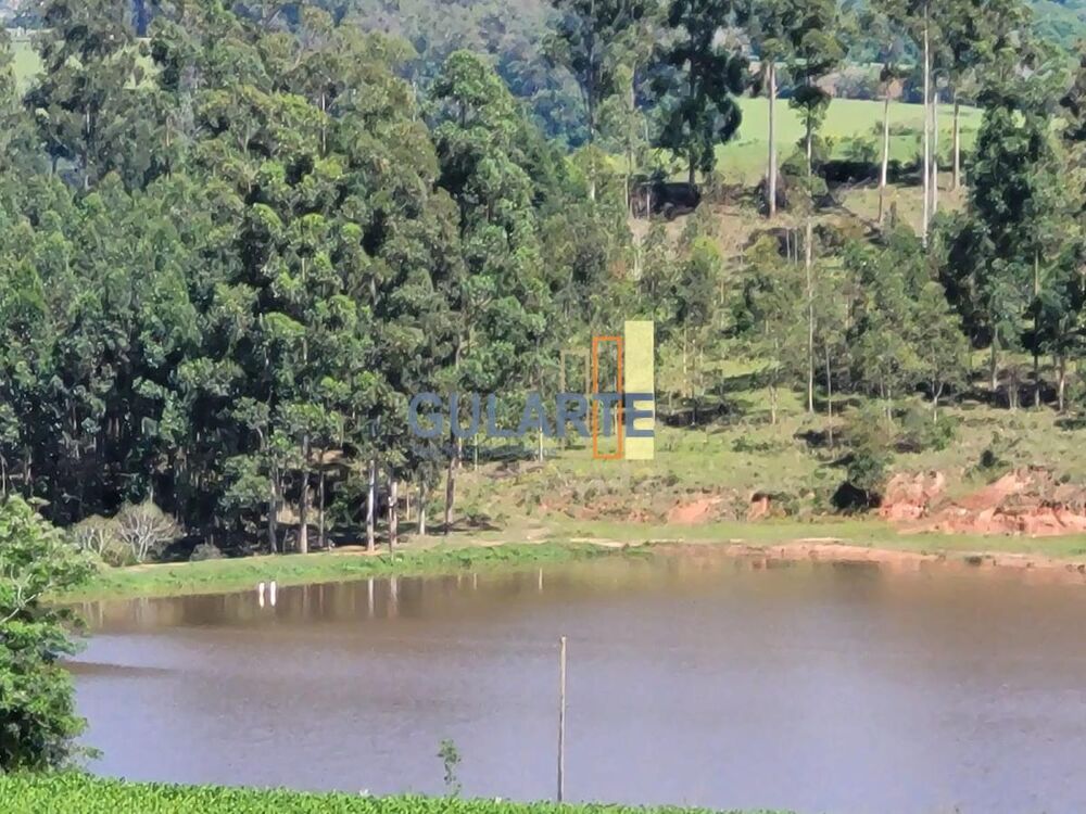 Fazenda, 165 hectares - Foto 14