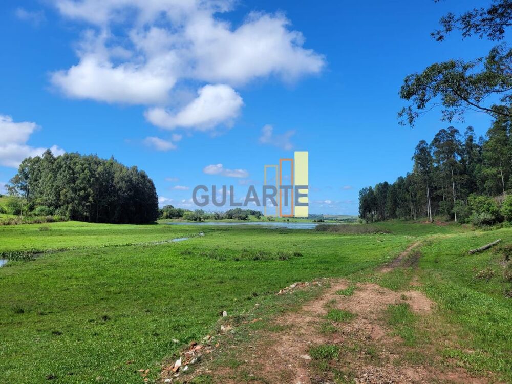 Fazenda, 165 hectares - Foto 5