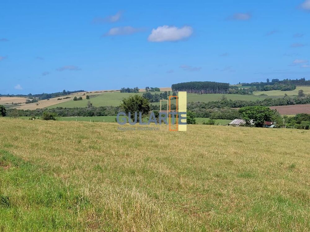 Fazenda, 165 hectares - Foto 3