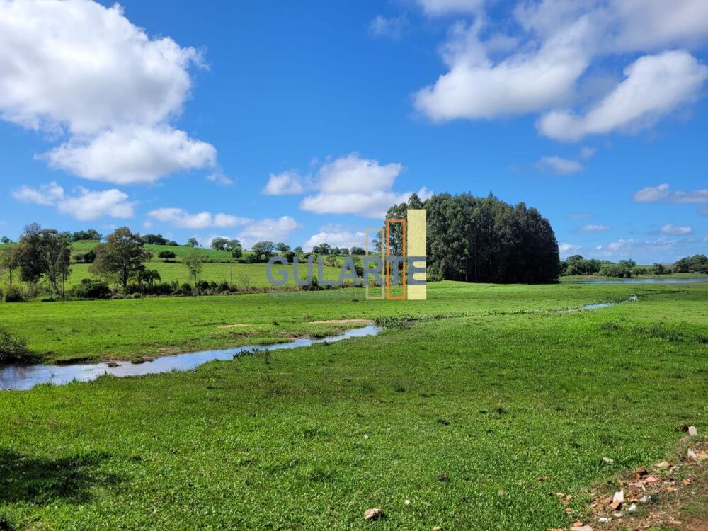 Fazenda, 165 hectares - Foto 10