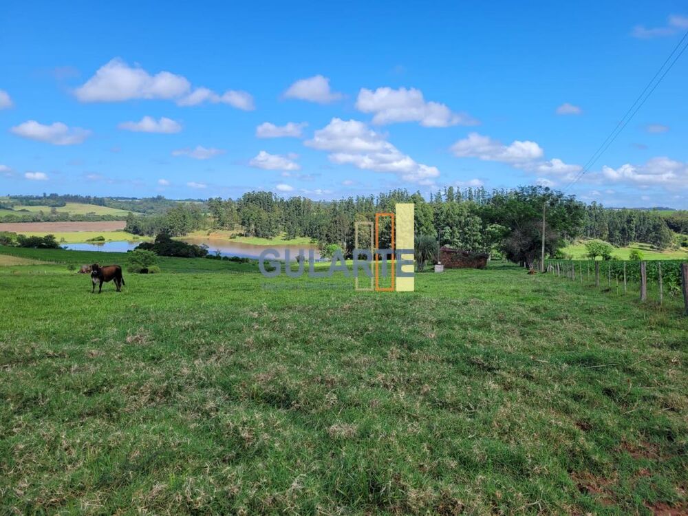 Fazenda, 165 hectares - Foto 9