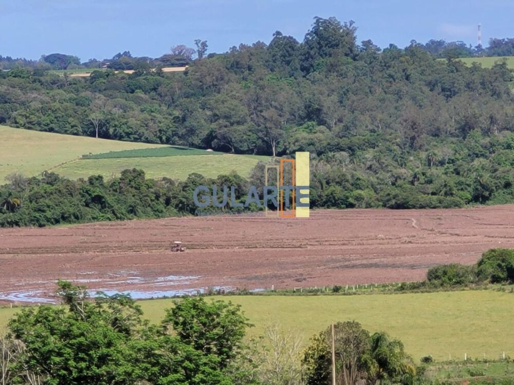 Fazenda, 165 hectares - Foto 15