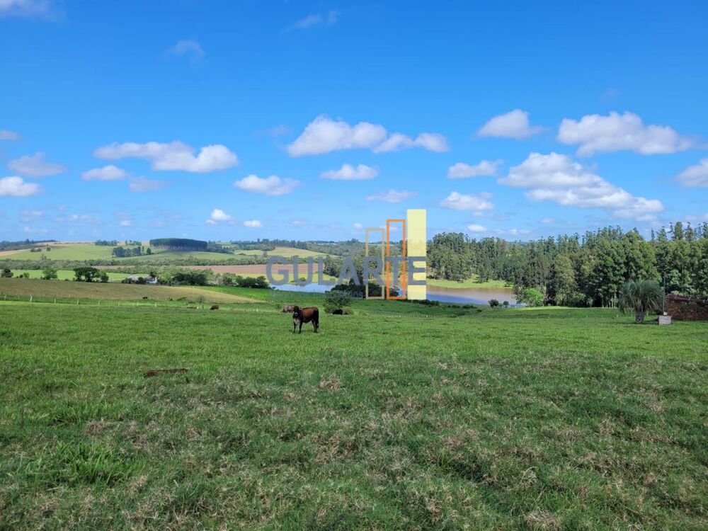 Fazenda, 165 hectares - Foto 11