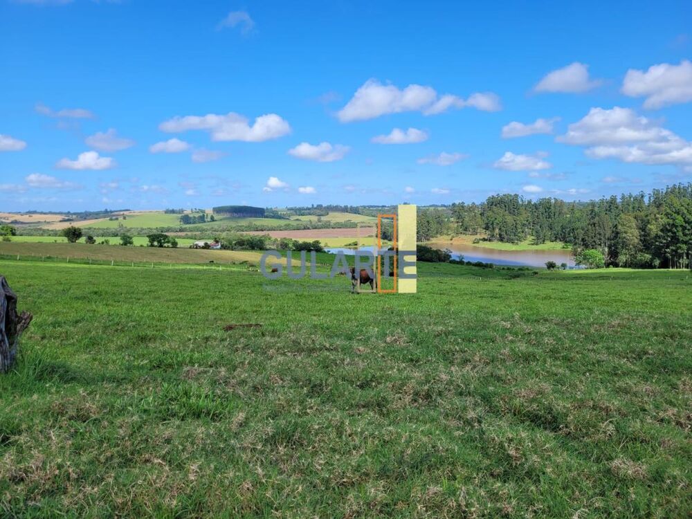 Fazenda, 165 hectares - Foto 8