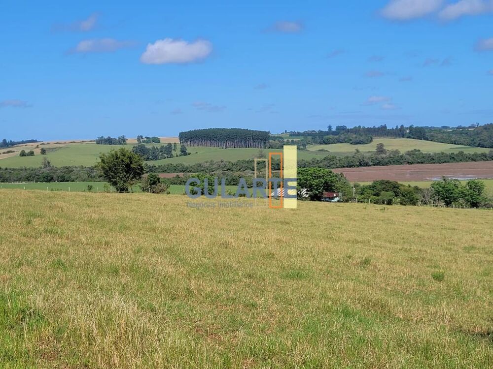 Fazenda, 165 hectares - Foto 4