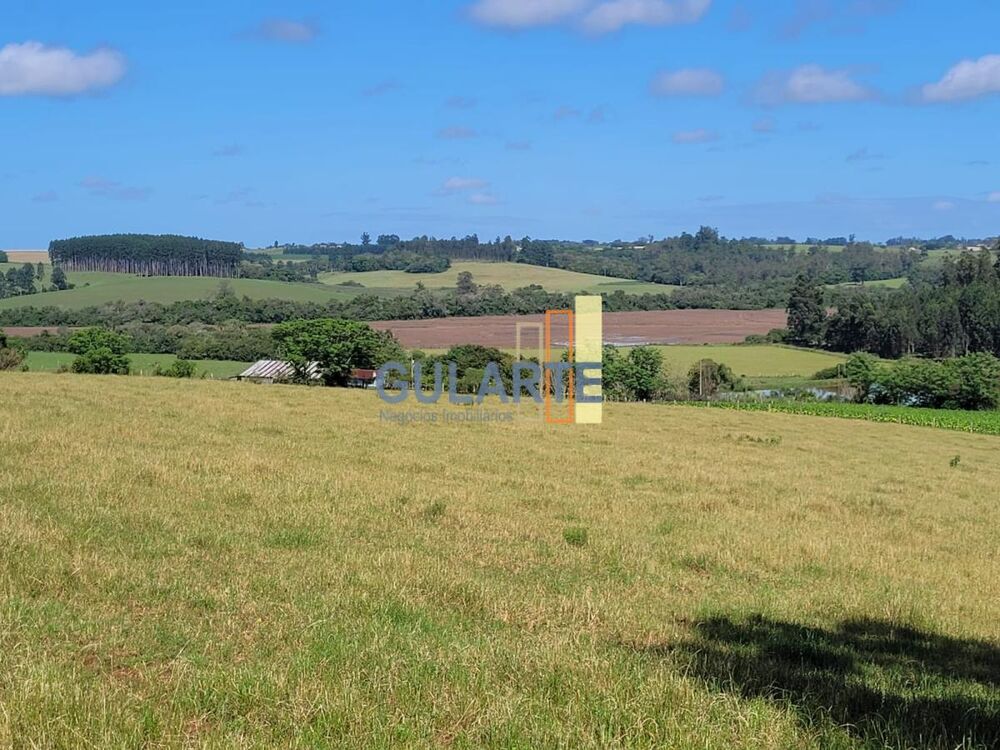 Fazenda, 165 hectares - Foto 6