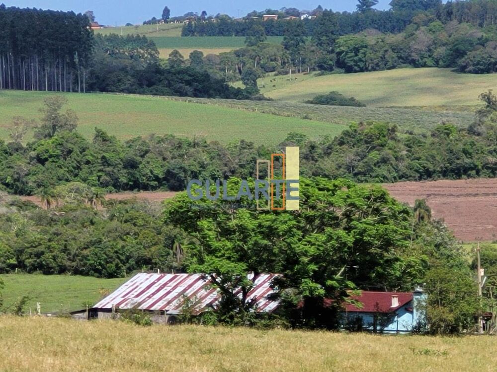 Fazenda, 165 hectares - Foto 12
