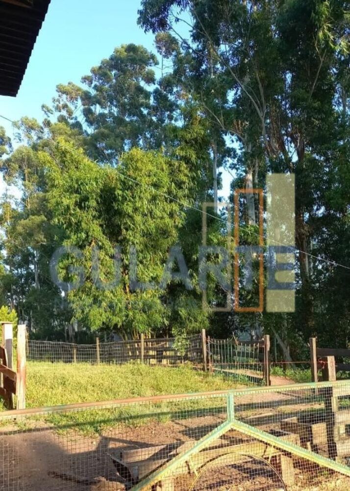 Fazenda à venda, 200000m² - Foto 3