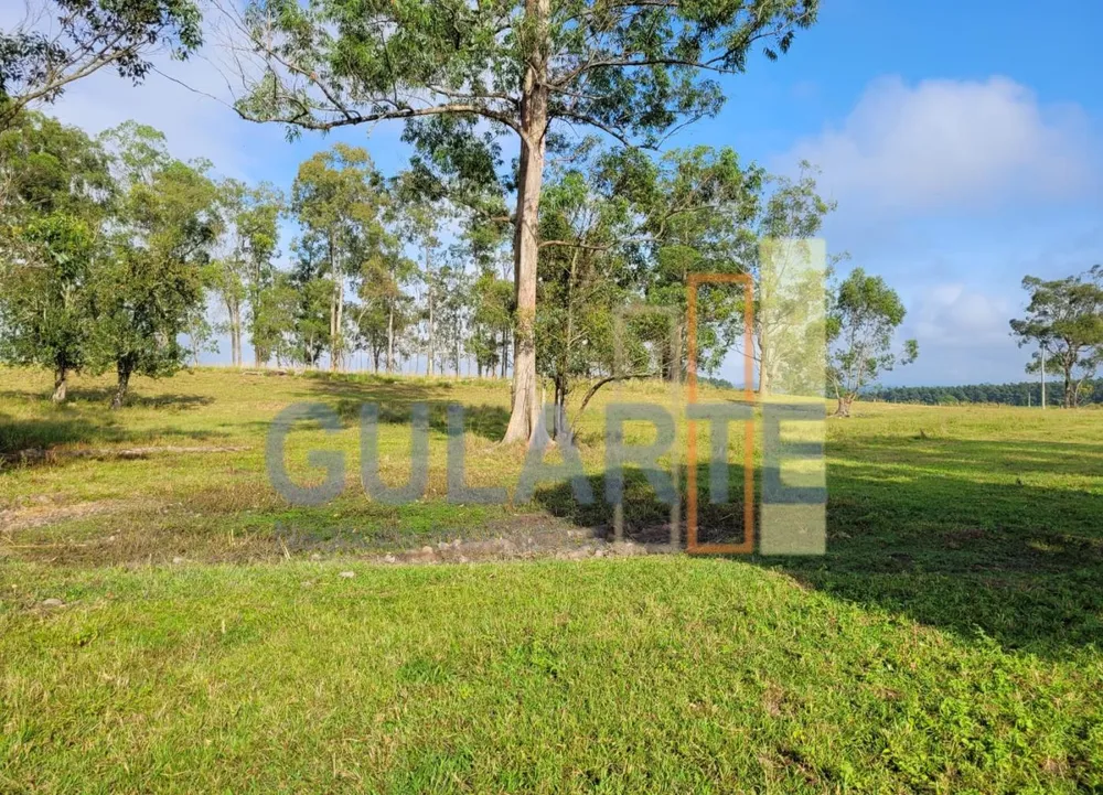 Fazenda, 62 hectares - Foto 1