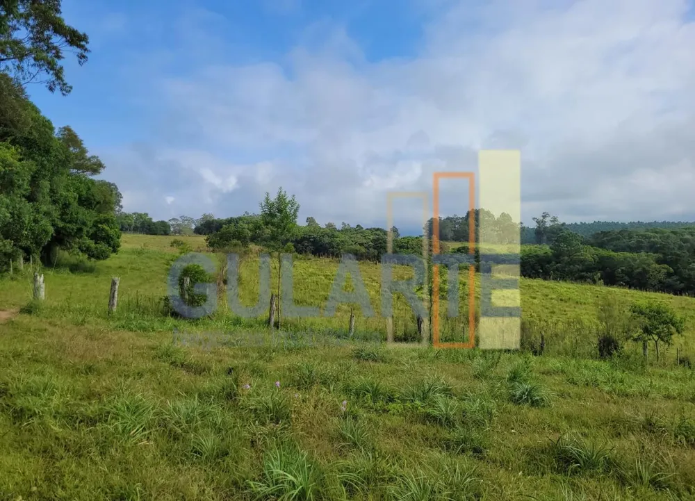 Fazenda, 62 hectares - Foto 6