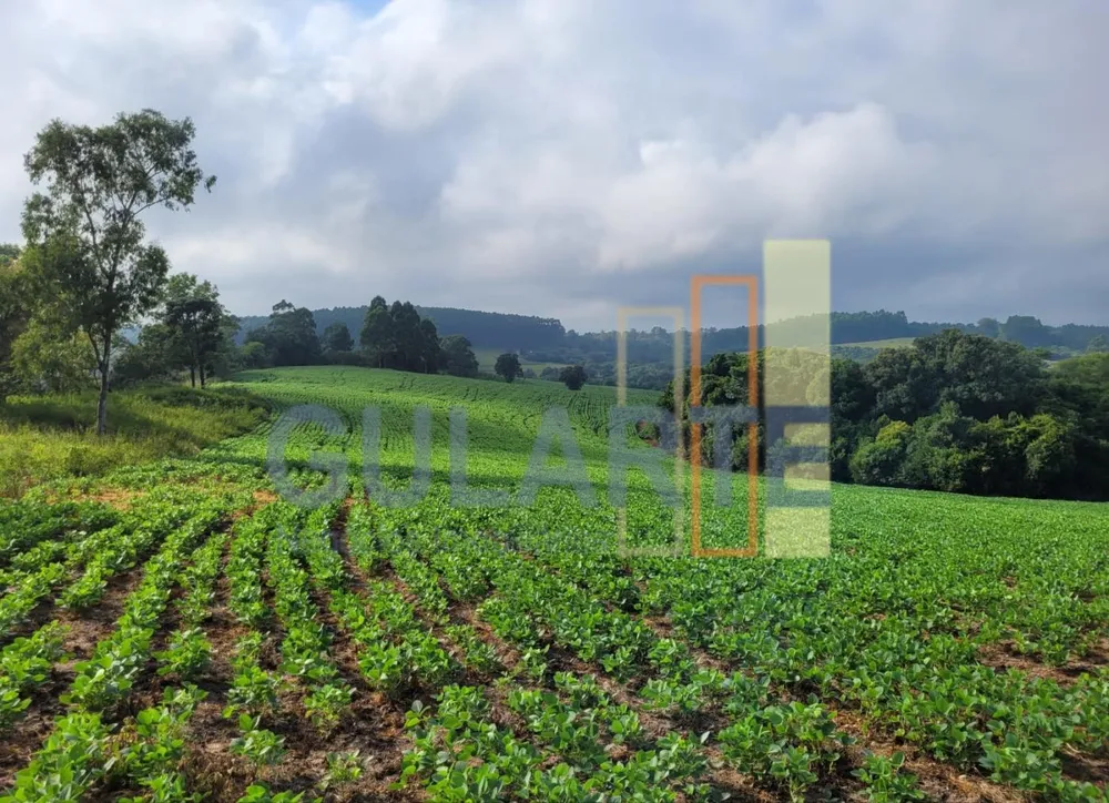 Fazenda, 62 hectares - Foto 3