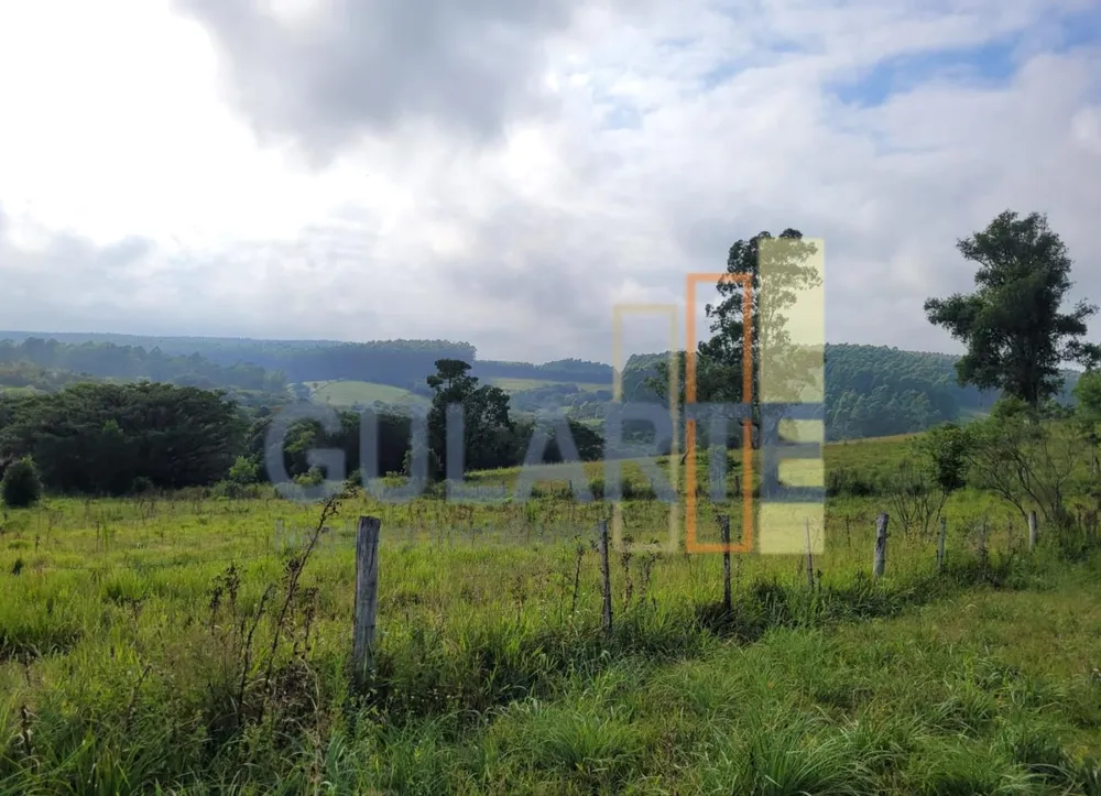 Fazenda, 62 hectares - Foto 4