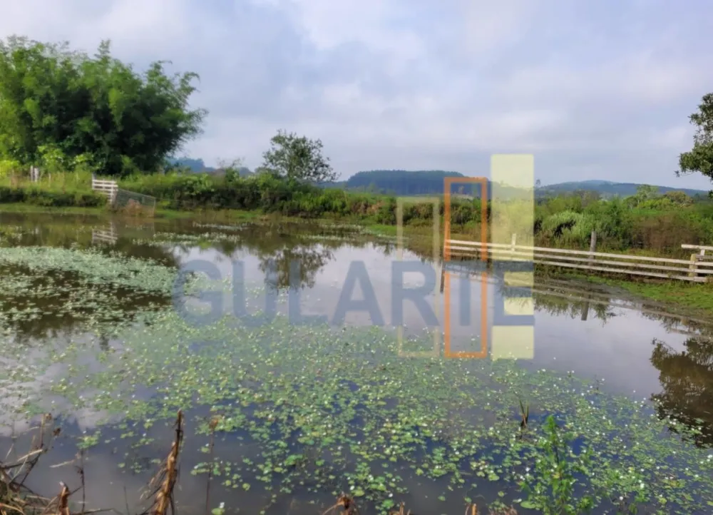 Fazenda, 62 hectares - Foto 2