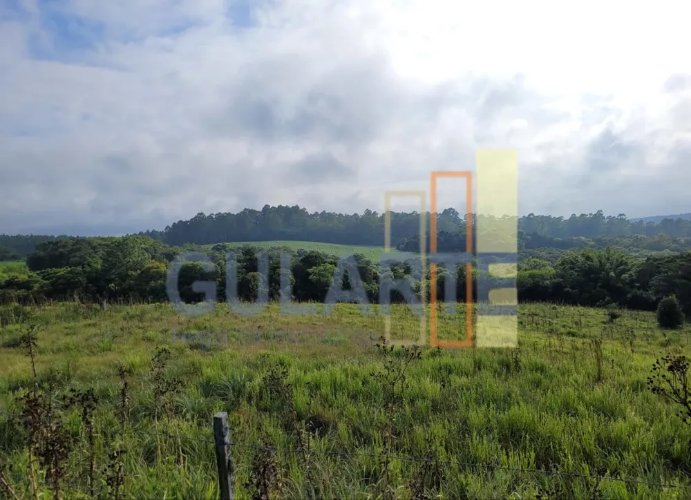Fazenda, 62 hectares - Foto 8