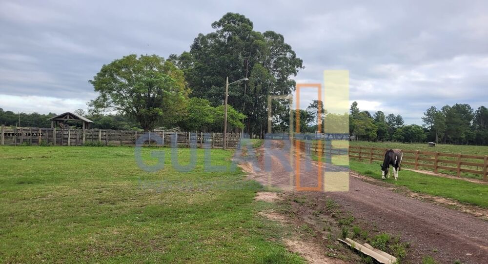 Fazenda à venda, 4580000m² - Foto 1