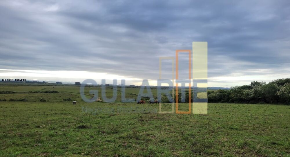 Fazenda à venda, 4580000m² - Foto 5