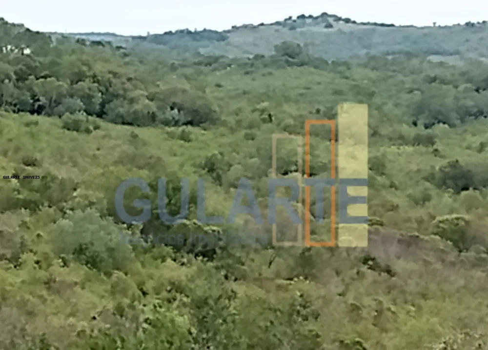 Fazenda, 218 hectares - Foto 2