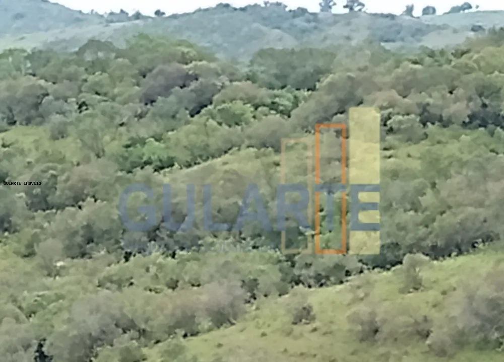 Fazenda, 218 hectares - Foto 8