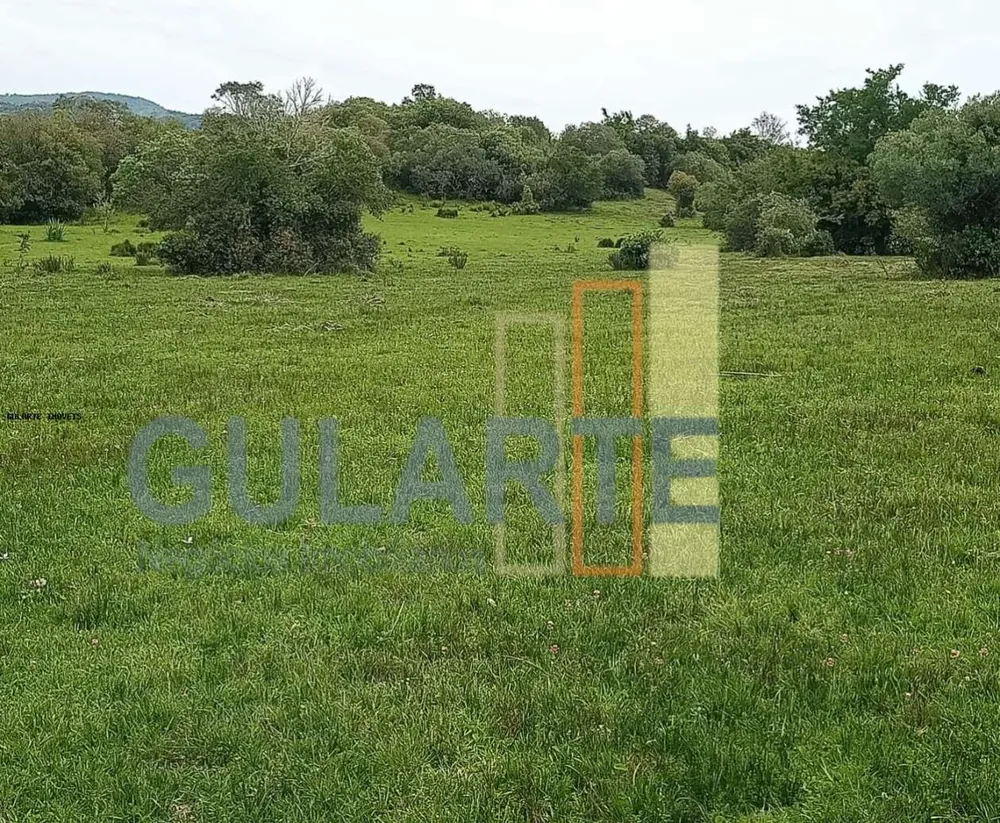 Fazenda, 218 hectares - Foto 3
