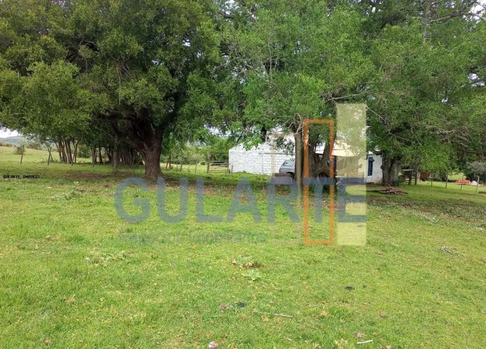 Fazenda, 218 hectares - Foto 4